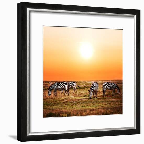 Zebras Herd on Savanna at Sunset, Africa. Safari in Serengeti, Tanzania-Michal Bednarek-Framed Photographic Print