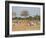 Zebras, Hwange National Park, Zimbabwe, Africa-Sergio Pitamitz-Framed Photographic Print