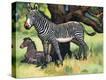 Stretched Canvas Print