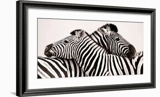 Zebras in love-null-Framed Art Print