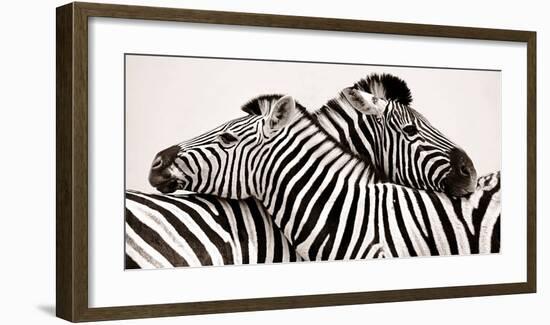 Zebras in love-null-Framed Art Print