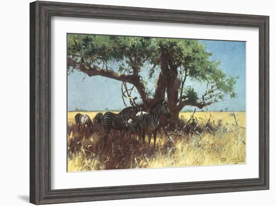 Zebras in the Steppe-Wilhelm Kuhnert-Framed Giclee Print