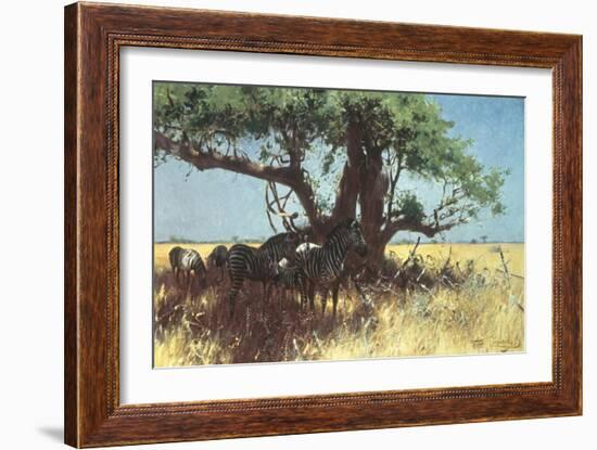 Zebras in the Steppe-Wilhelm Kuhnert-Framed Giclee Print