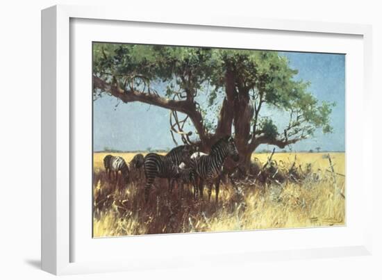 Zebras in the Steppe-Wilhelm Kuhnert-Framed Giclee Print