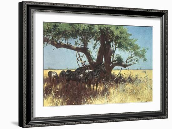 Zebras in the Steppe-Wilhelm Kuhnert-Framed Giclee Print