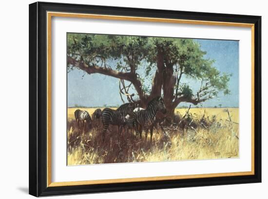 Zebras in the Steppe-Wilhelm Kuhnert-Framed Giclee Print