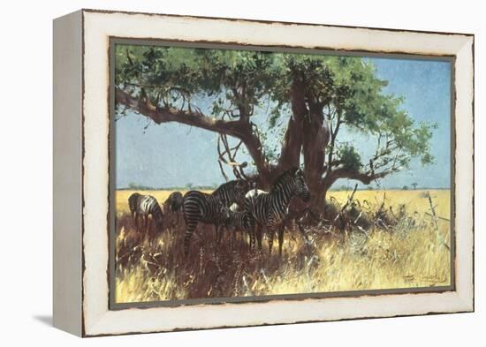 Zebras in the Steppe-Wilhelm Kuhnert-Framed Premier Image Canvas