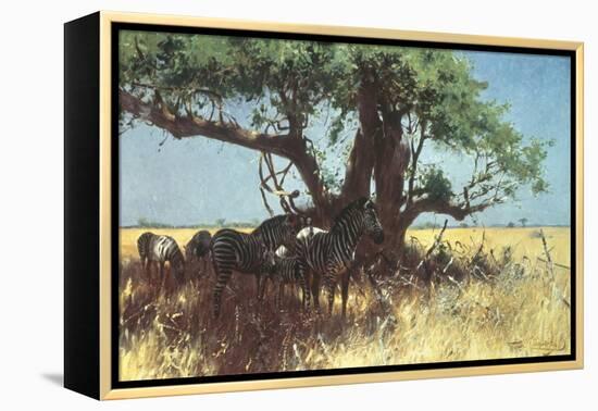 Zebras in the Steppe-Wilhelm Kuhnert-Framed Premier Image Canvas