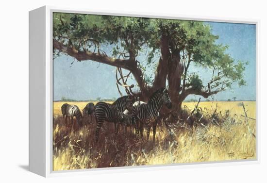 Zebras in the Steppe-Wilhelm Kuhnert-Framed Premier Image Canvas