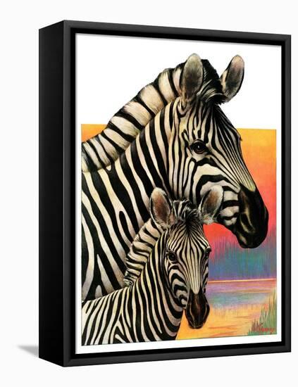 "Zebras,"June 25, 1932-Jack Murray-Framed Premier Image Canvas