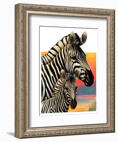 "Zebras,"June 25, 1932-Jack Murray-Framed Giclee Print