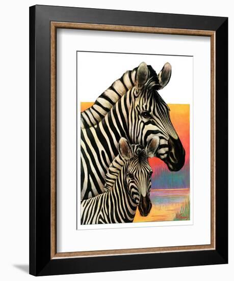 "Zebras,"June 25, 1932-Jack Murray-Framed Giclee Print