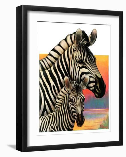 "Zebras,"June 25, 1932-Jack Murray-Framed Giclee Print