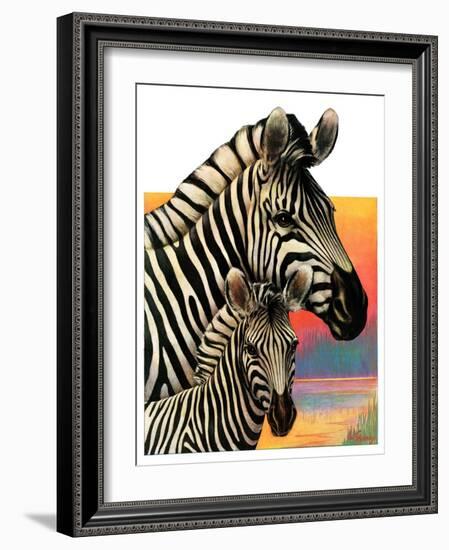 "Zebras,"June 25, 1932-Jack Murray-Framed Giclee Print