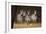 Zebras Looking-Howard Ruby-Framed Photographic Print