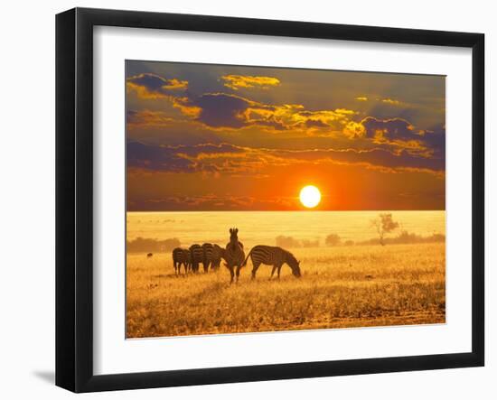 Zebras on Lake-Andrushko Galyna-Framed Photographic Print