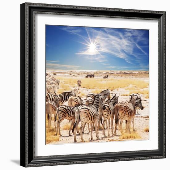 Zebras on Waterhole-Andrushko Galyna-Framed Photographic Print