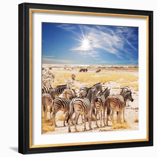 Zebras on Waterhole-Andrushko Galyna-Framed Photographic Print