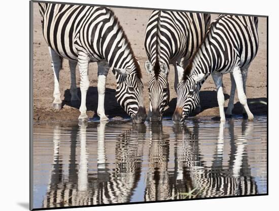 Zebras Reflected in a Water Hole, Etosha National Park, Namibia, Africa-Wendy Kaveney-Mounted Photographic Print