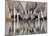Zebras Reflected in a Water Hole, Etosha National Park, Namibia, Africa-Wendy Kaveney-Mounted Photographic Print