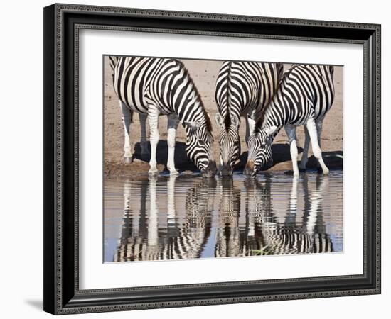 Zebras Reflected in a Water Hole, Etosha National Park, Namibia, Africa-Wendy Kaveney-Framed Photographic Print