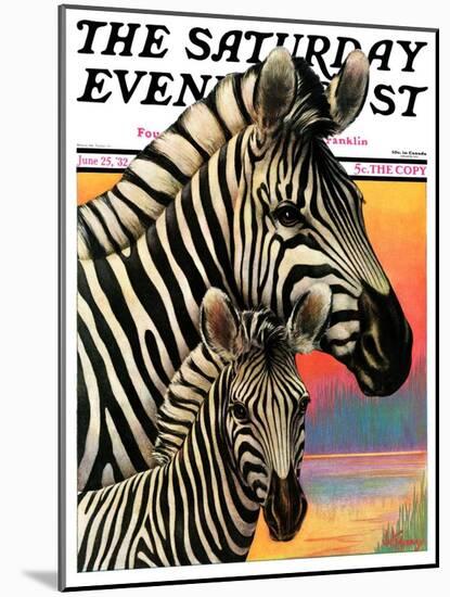 "Zebras," Saturday Evening Post Cover, June 25, 1932-Jack Murray-Mounted Giclee Print