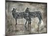 Zebras-Marta Wiley-Mounted Art Print