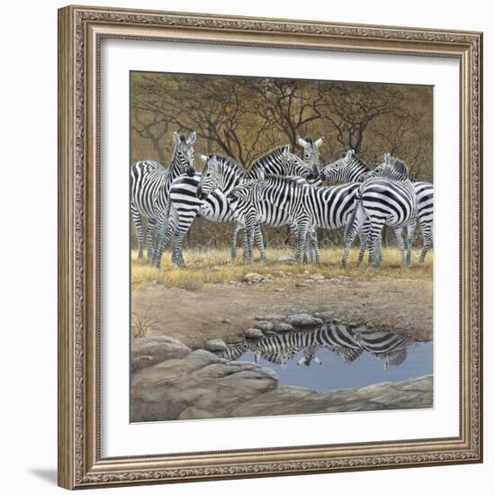 Zebras-Harro Maass-Framed Giclee Print