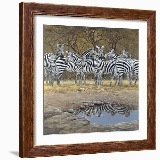 Zebras-Harro Maass-Framed Giclee Print