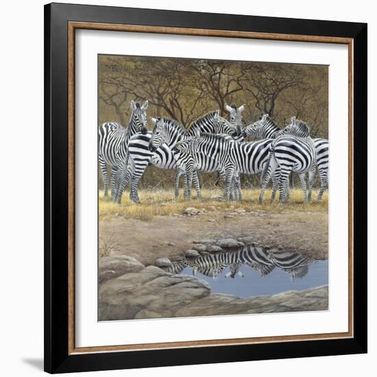 Zebras-Harro Maass-Framed Giclee Print