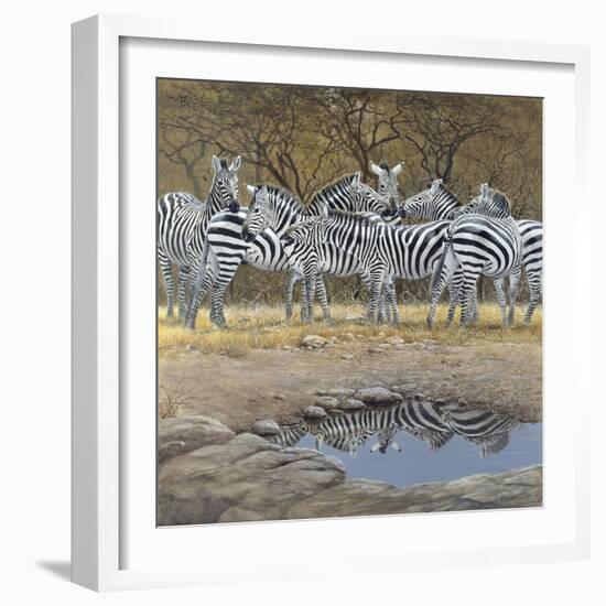 Zebras-Harro Maass-Framed Giclee Print