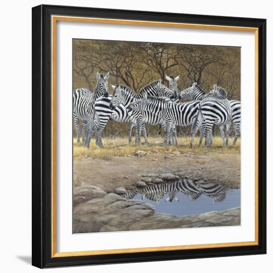 Zebras-Harro Maass-Framed Giclee Print