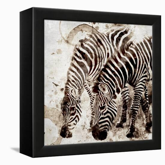 Zebras-Kimberly Allen-Framed Stretched Canvas