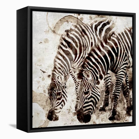 Zebras-Kimberly Allen-Framed Stretched Canvas