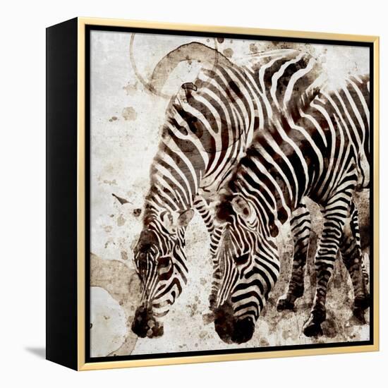 Zebras-Kimberly Allen-Framed Stretched Canvas