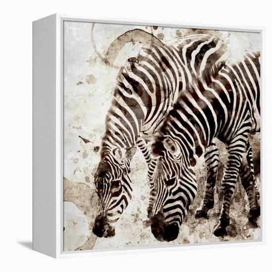 Zebras-Kimberly Allen-Framed Stretched Canvas