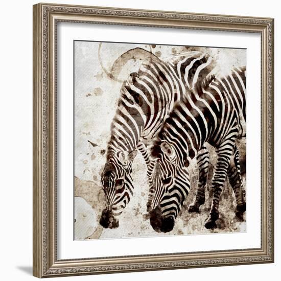 Zebras-Kimberly Allen-Framed Art Print