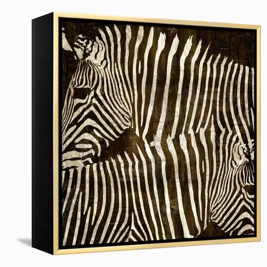 Zebras-Darren Davison-Framed Stretched Canvas