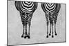 Zebras-Martina Pavlova-Mounted Art Print