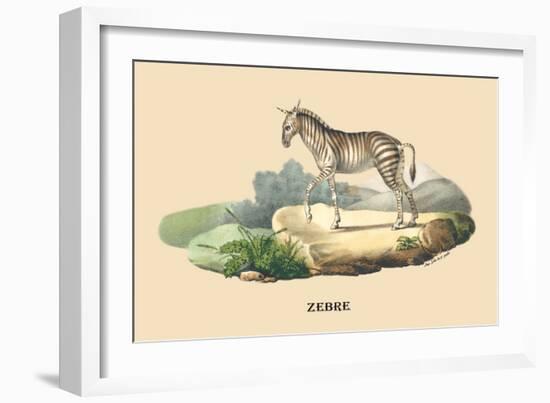 Zebre-E.f. Noel-Framed Art Print