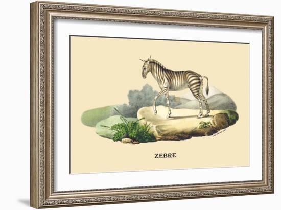 Zebre-E.f. Noel-Framed Art Print