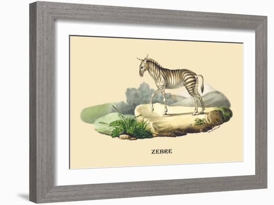 Zebre-E.f. Noel-Framed Art Print