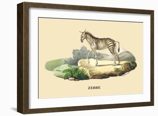 Zebre-E.f. Noel-Framed Art Print