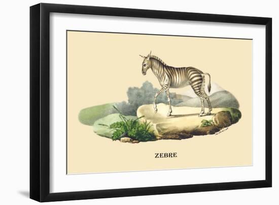 Zebre-E.f. Noel-Framed Art Print