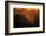 Zebu cattle grazing at dusk, Tanzania, East Africa, Africa-Ashley Morgan-Framed Photographic Print