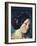 Zelie Courbet (The Artist's Sister)-Gustave Courbet-Framed Art Print