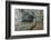 Zelske Caves-Rob Tilley-Framed Photographic Print