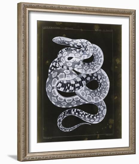 Zempoala-Chris Dunker-Framed Giclee Print