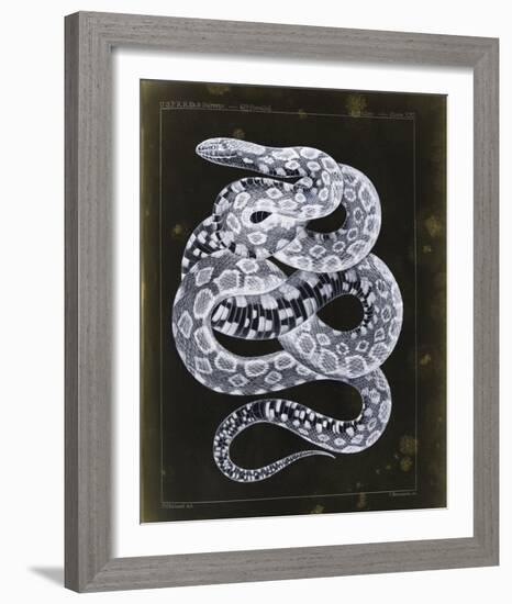 Zempoala-Chris Dunker-Framed Giclee Print