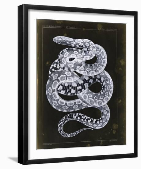 Zempoala-Chris Dunker-Framed Giclee Print